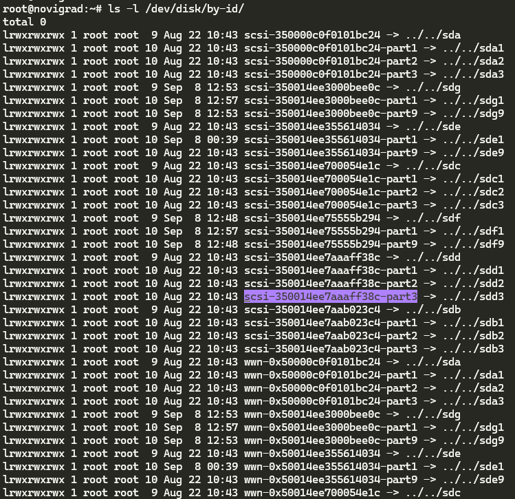 Listing disks by ID